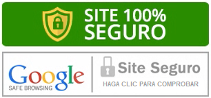 Site Seguro Google